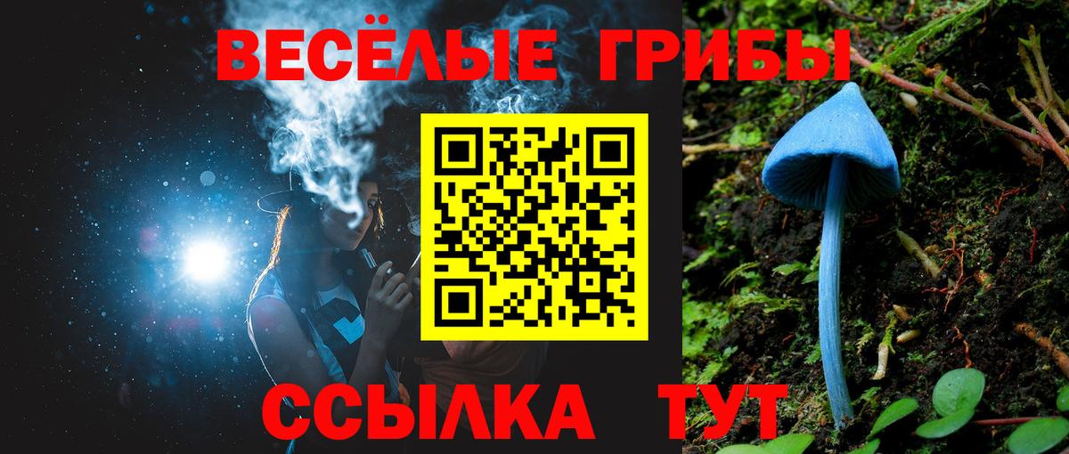 Галлюциногенные грибы Magic Shrooms  Псилоцибиновые грибы мухоморы  дарнет шоп  Вход с VPN  Усолье-Сибирское 